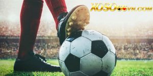 Cá cược bóng đá Xoso66: Sân chơi uy tín mùa World Cup 2022